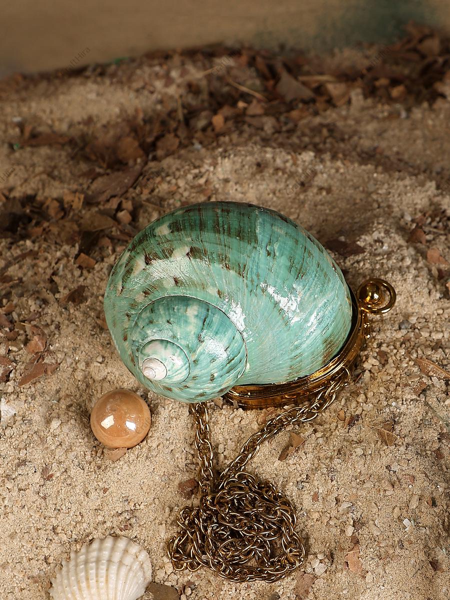 Real Green Turban Sea Shell Clutch Handbag | Natural Nautilus Mini ...