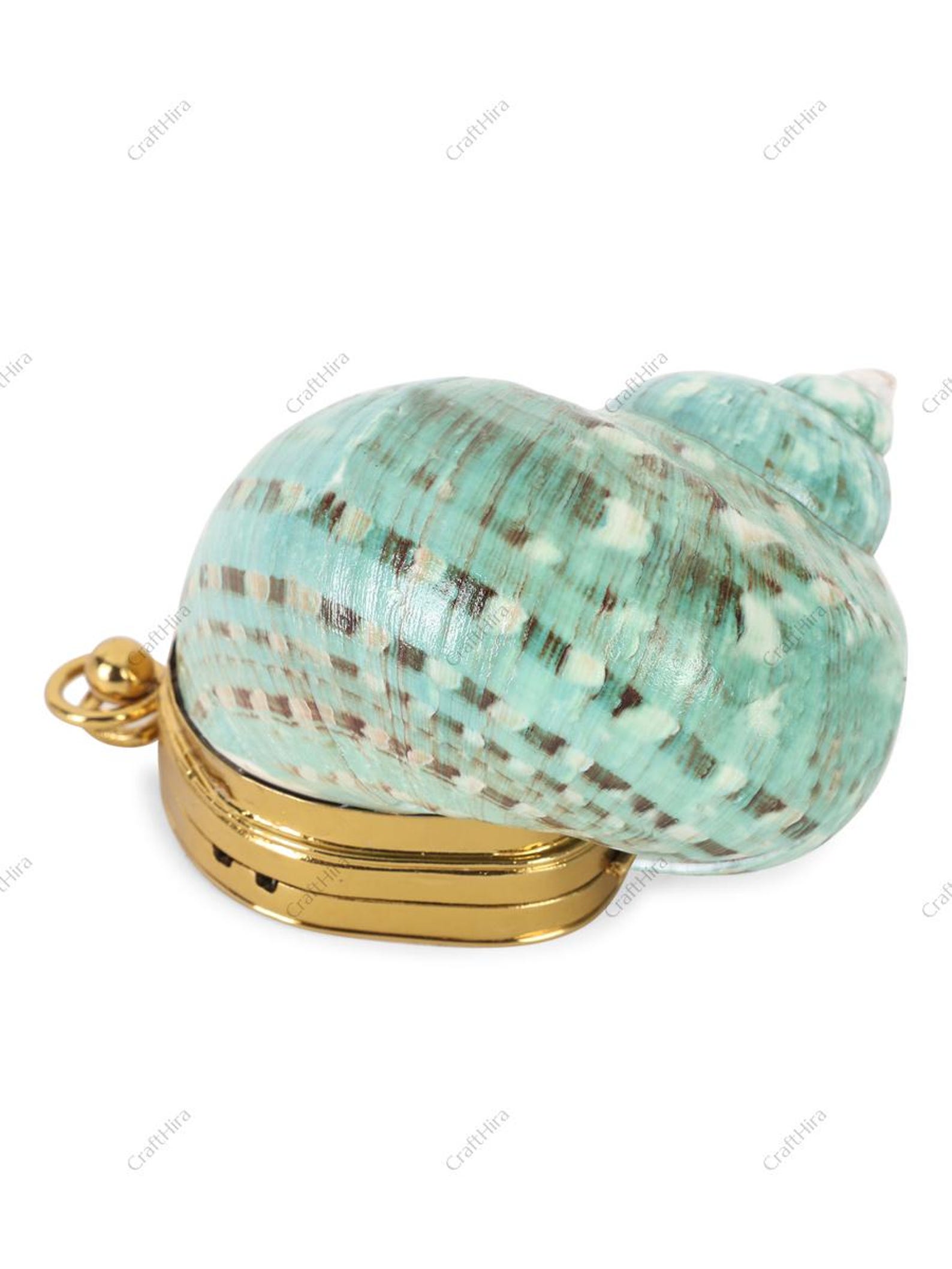 Real Green Turban Sea Shell Clutch Handbag | Natural Nautilus Mini ...