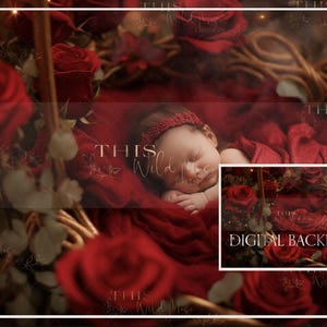 Fairytale Newborn digital Background, newborn digital, newborn creative composite, red roses, newborn fairytale, fairy tale digital,