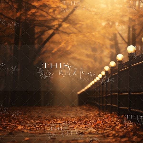 Fall walk digital background, autumn, fall tones, autumn park, fall leafy walk, fall trees, fence, park walkway, autumn digital backdrop