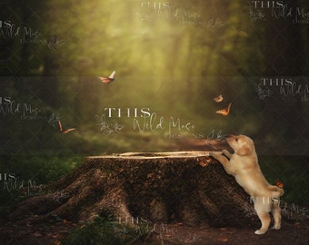 Summer forest tree stump, forest path, puppy adventure, photoshop composite, instant digital download for creative composite images