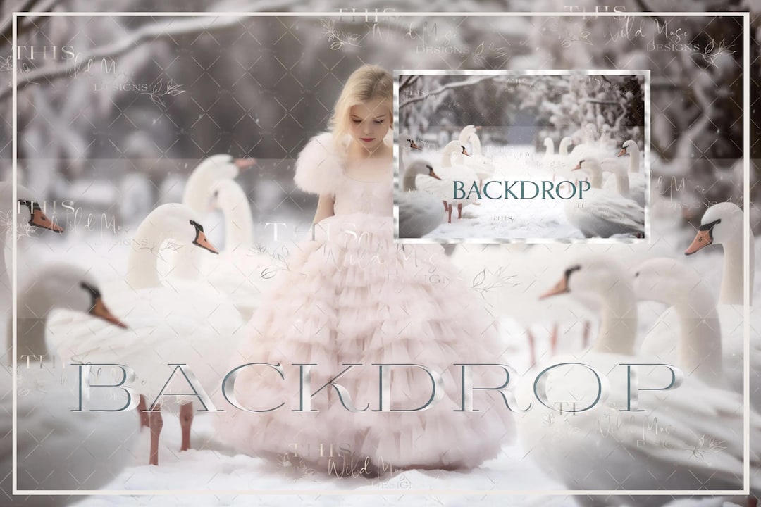 Menu Backdrop Swan Swan Snow Path Digital Backdrop, Winter Magic, Snow, Snow Covered Trees ...