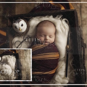 Special Delivery Newborn Digital Background, School of Magic, Top Down View, magical wizard newborn composite, wizard, newborn background