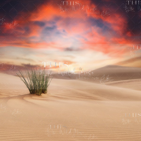 Dramatic Desert digital backdrop, desert sky digital background, desert, dramatic sky, sand dunes digital backdrop, desert landscape