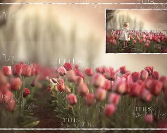 Op de afbeelding: Een digitale achtergrond met een veld vol roze en witte tulpen met een wazige achtergrond. De tekst "Add Your Subject" is zichtbaar in de afbeelding.
