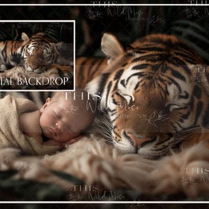 May include: A newborn baby sleeping peacefully on a tiger fur backdrop. The baby is wrapped in a cream-colored blanket and is nestled next to a large tiger. The tiger is sleeping with its eyes closed and its head resting on the baby's back. The backdrop is a dark green and brown color with a leafy pattern.