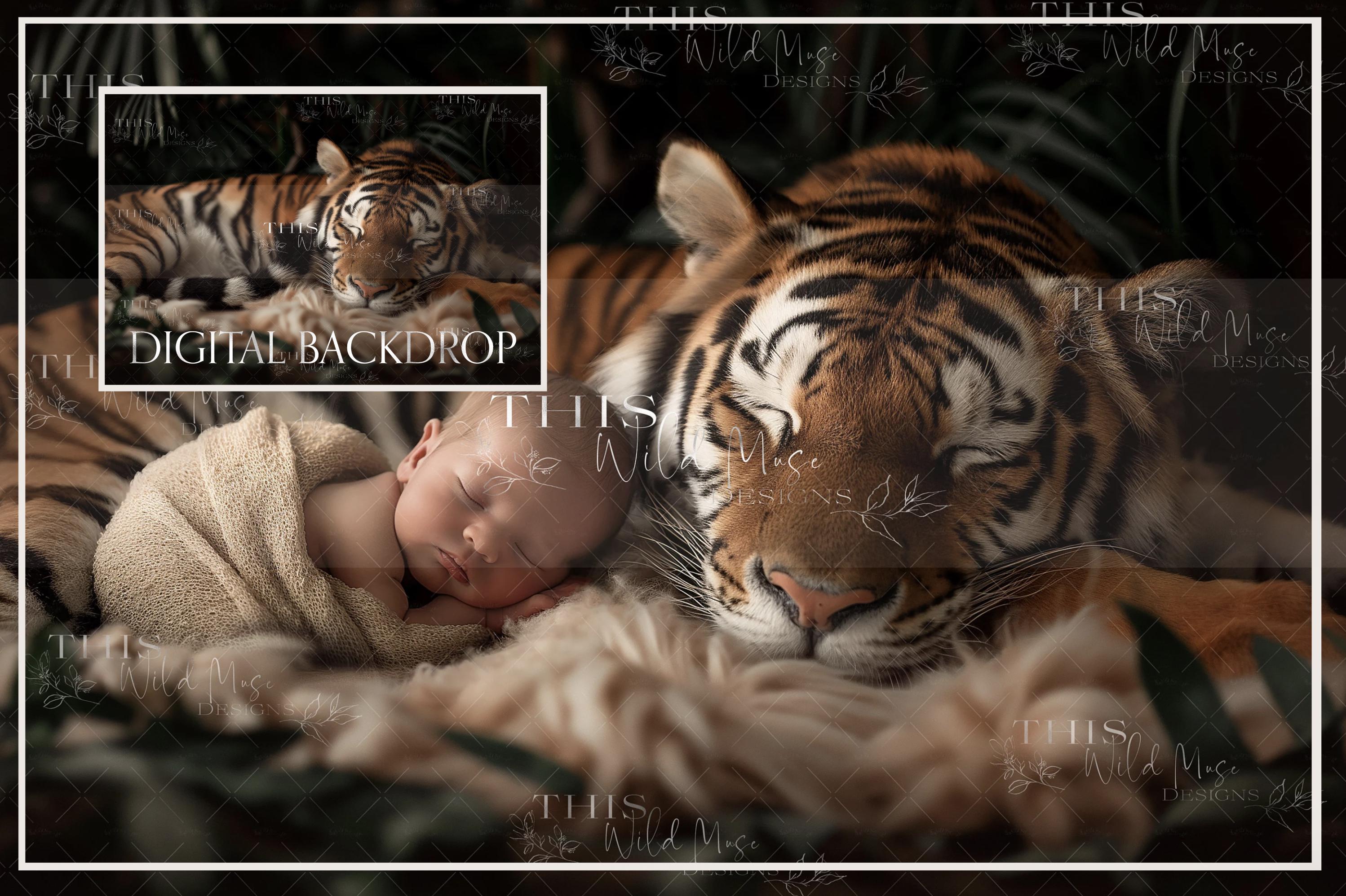 Tiger Back Drop Sleeping Tiger Newborn Digital Backdrop, Newborn, Toddler, Creative ...
