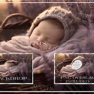 May include: A sleeping baby wrapped in a soft, light purple blanket and a knitted cap, nestled in a woven basket. The background features lavender flowers and a soft, blurred light. Includes a backdrop and PNG overlay.