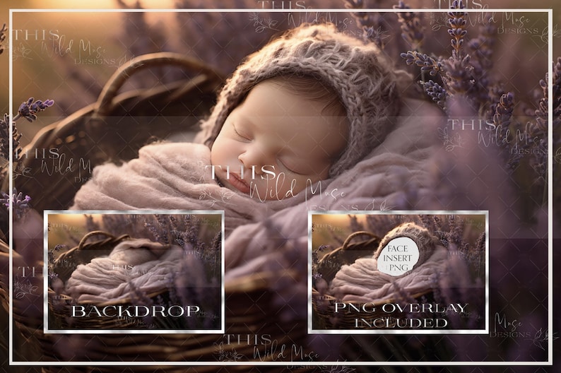 May include: A sleeping baby wrapped in a soft, light purple blanket and a knitted cap, nestled in a woven basket. The background features lavender flowers and a soft, blurred light. Includes a backdrop and PNG overlay.