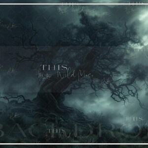 May include: A dark, moody digital backdrop featuring a large, gnarled tree with thick branches reaching towards a cloudy sky. The scene is shrouded in mist and fog, creating an eerie and atmospheric feel.