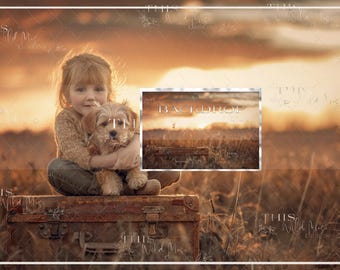 May include: A young girl with blonde hair is sitting on a vintage suitcase with a small brown and white dog. The girl is wearing a brown sweater and jeans. The background is a blurry sunset with a field of tall grass.