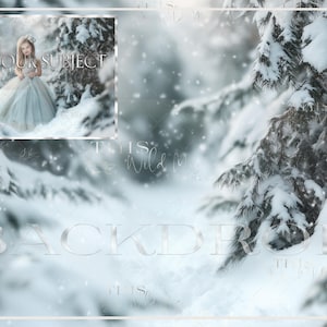 Holiday wintergreen Digital backdrop, Snowy Pine Trees, Snow, Winter, Portrait Photography, Christmas digital background, Christmas