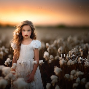 Summer Field Digital backdrop, white flower field, field digital background, summer digital background for composites, summer tones