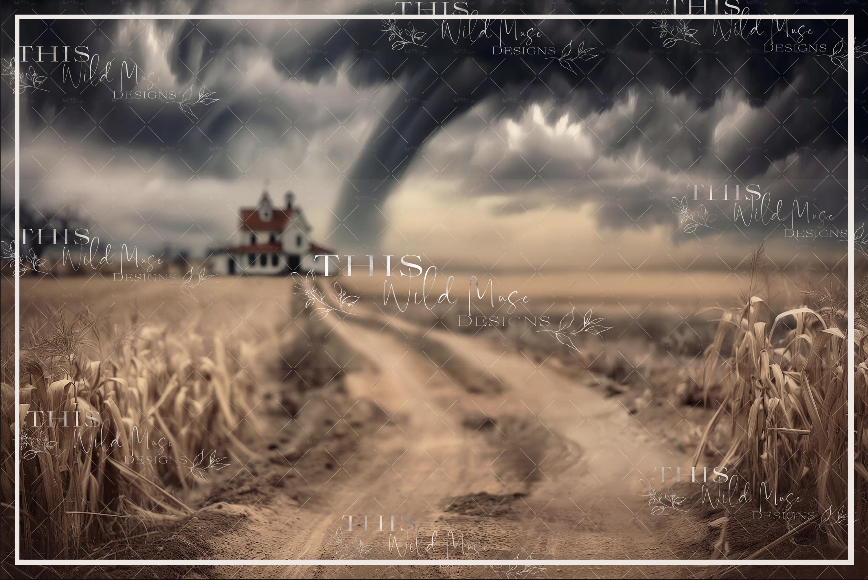 Fondo digital del Mago de Oz, tornado de Kansas, fondo digital del Mago de  Oz, maizal, tornado, cielo tormentoso, granja de Kansas, camino rural -  Etsy México, image size:3000x2004