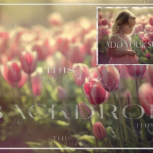 Spring Tulips background, Spring digital background, Pink flowers, spring blooms, bokeh light, tulips, tulip field digital backdrop