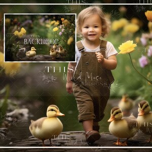 May include: A young child wearing a brown overall dress walks through a field of yellow flowers and green grass.  Four ducklings are in the foreground, walking on a path.