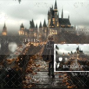 May include: A digital backdrop featuring a castle with a bridge leading to it. The castle is lit up with warm lights and there is a misty, foggy atmosphere. The background is a dark forest with trees and foliage. The text "BACKDROP" is visible in the bottom right corner.