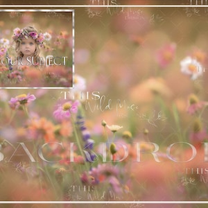 Può includere: Uno sfondo digitale che presenta un'immagine sfocata di un campo di fiori selvatici in tonalità di rosa, viola, bianco e giallo. Il testo "ADD YOUR SUBJECT" è sovrapposto all'immagine.
