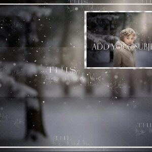 Snow Path Scene Digital background, Winter, Snow, Snow covered trees, pine trees, snowy digital background, outdoor digital backdrop