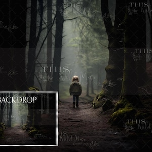 May include: A dark, misty forest scene with a single figure walking down a path. The trees are tall and thick, and the air is filled with fog. The figure is wearing a dark jacket and pants, and they are walking towards the light in the distance. The image is a backdrop for photography.