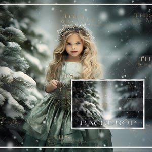 Holiday wintergreen Digital backdrop, Snowy Pine Trees, Snow, Winter, Portrait Photography, Christmas digital background, Christmas