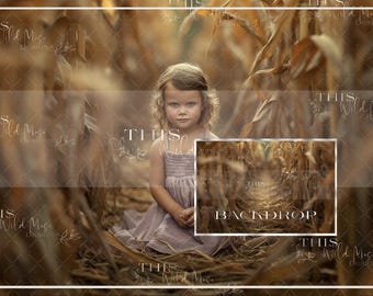 Golden Cornfield Digital Background, Cornfield digital backdrop, fall, farmland, cornfield, fall harvest digital backdrop, fall backdrop