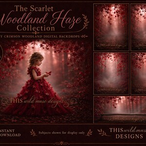 Scarlet Woodland Haze Digital Backdrops, Misty Autumn Forest Backgrounds, Red Maple Leaves, Fine Art Portrait Composite, fall, autumn