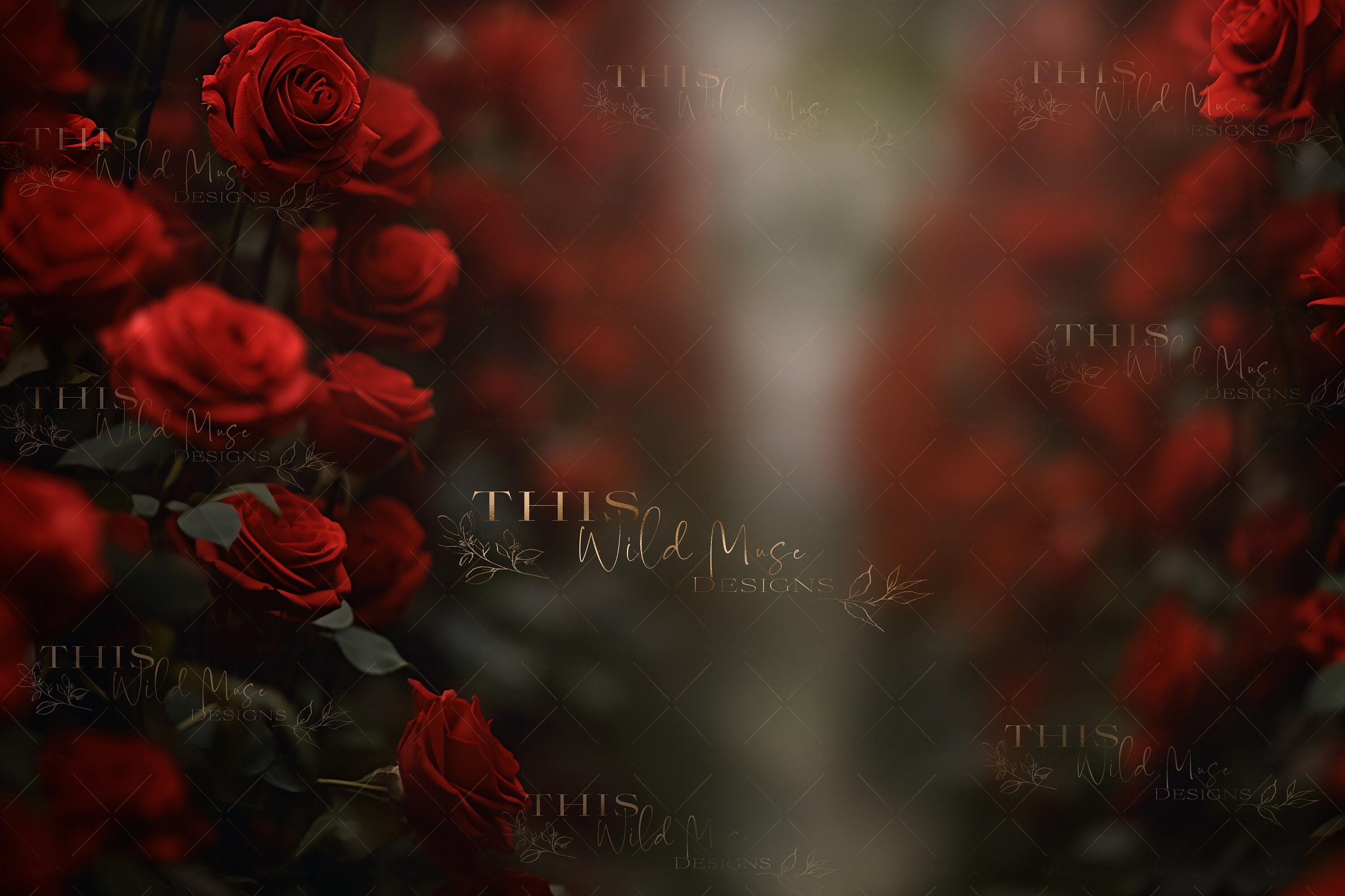 Red Roses Photoshop Blooming Red Roses Digital Background, Rose Garden, Red, Spring, Summer ...