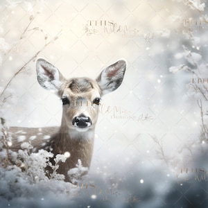 Snow Scene Digital background, Winter, Snow, Snow covered ground, winter doe, snowy digital background, outdoor digital backdrop, deer