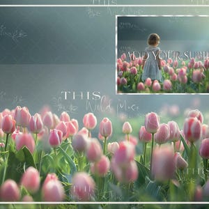 Tulip field digital backdrop, Spring Tulips background, Spring digital background, Pink flowers, spring blooms, tulips, tulip field digital