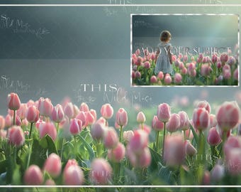Op de afbeelding: Een digitale achtergrondafbeelding met een veld vol roze tulpen met een wazige achtergrond. De tekst "Voeg uw onderwerp toe" is over de afbeelding gelegd.