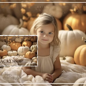 Fall Digital Backdrop, Muted Pumpkin Studio digital background, pumpkins, muted tones fall, fall background, fall, autumn, pumpkin harvest