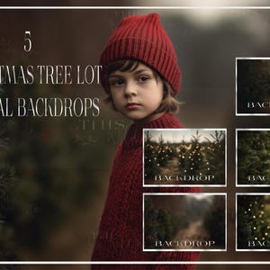 5 fondos digitales de árboles de Navidad, árboles de Navidad, retrato de vacaciones, tarjeta de Navidad, granja de árboles de Navidad, pinos, fondo de vacaciones
