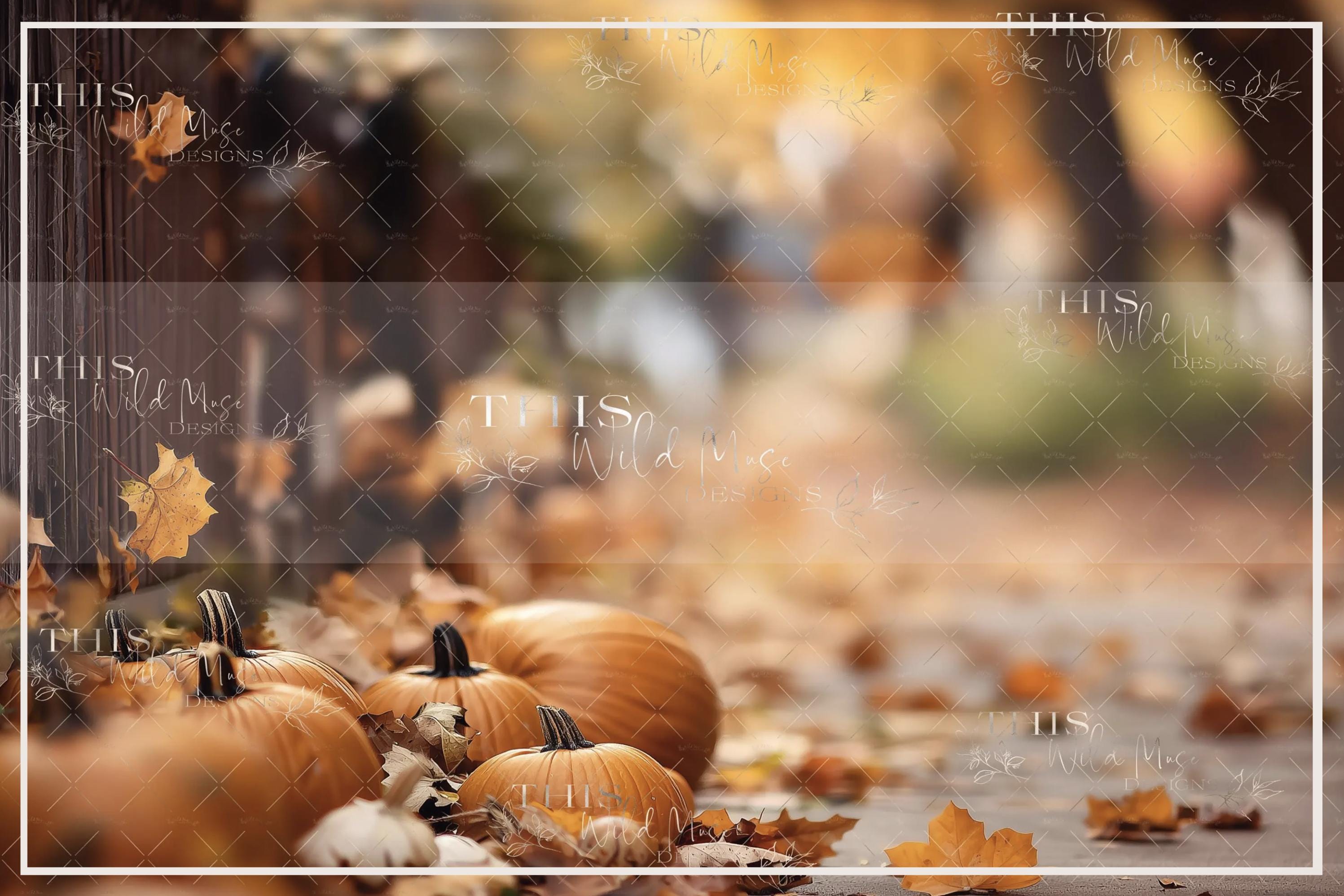 Autumn Walk Digital Backdrop, Fall, Tree Lined Path, Walkway, Fall ...