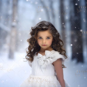 Snowy Winter Portrait Digital backdrop, Snow path, Snow, Winter, Portrait Photography, Digital backdrop for portraits, Winter digital