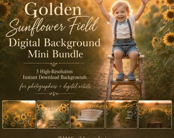 Sunflower Field Digital Background Mini Bundle | 5 Golden Hour Summer Photography Backdrops | Instant Download, Sunflowers, Photo backdrop