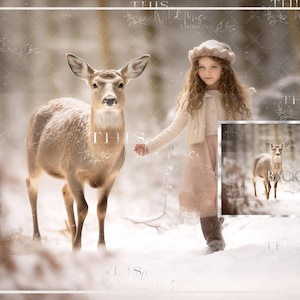 Snow Scene Digital background, Winter, Snow, Snow covered ground, winter doe, snowy digital background, outdoor digital backdrop, deer