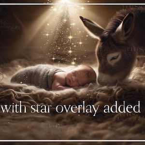 Christmas Nativity digital backdrop, Newborn Nativity background, Newborn Background Composite, Baby Jesus Photo Portrait, Nativity Manger