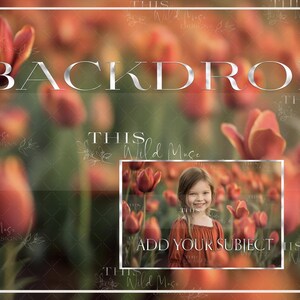 Spring Tulips background, Spring digital background, orange flowers, spring blooms, bokeh light, tulips, tulip field digital backdrop