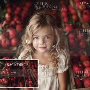 Apple Harvest Digital Background, red apples, Fine art portrait, Summer background, summer orchard, apple orchard, summer harvest backdrop