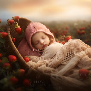 Op de afbeelding: Een babymeisje met een roze muts slaapt in een rieten mandje omringd door rode aardbeien. Het mandje ligt in een aardbeienveld.
