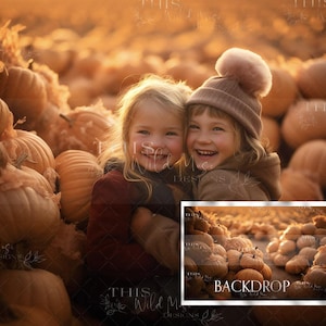 Pumpkin Patch digital backdrop, fall digital backdrop, pumpkin patch background, pumpkins, fall digital background, autumn backdrop