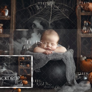 Halloween newborn composite, pumpkins, photoshop composite digital backdrop, newborn, witch cauldron, witch kitchen, halloween, spiderweb