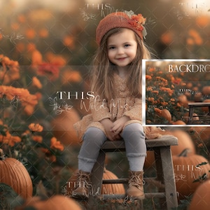 May include: A young child sits on a wooden stool surrounded by pumpkins and orange flowers. The child wears a tan sweater, gray pants, and a matching hat. The backdrop features a similar scene with a small wooden stool and pumpkins.