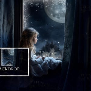 Frosted Winter Magic digital background, Snow, Winter digital background, winter nights, Snowy winter, Winter, Creative composite backdrop
