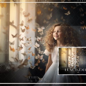 Butterfly digital background, butterfly room digital backdrop, butterflies, textured walls, soft window lighting, creative studio backdrop