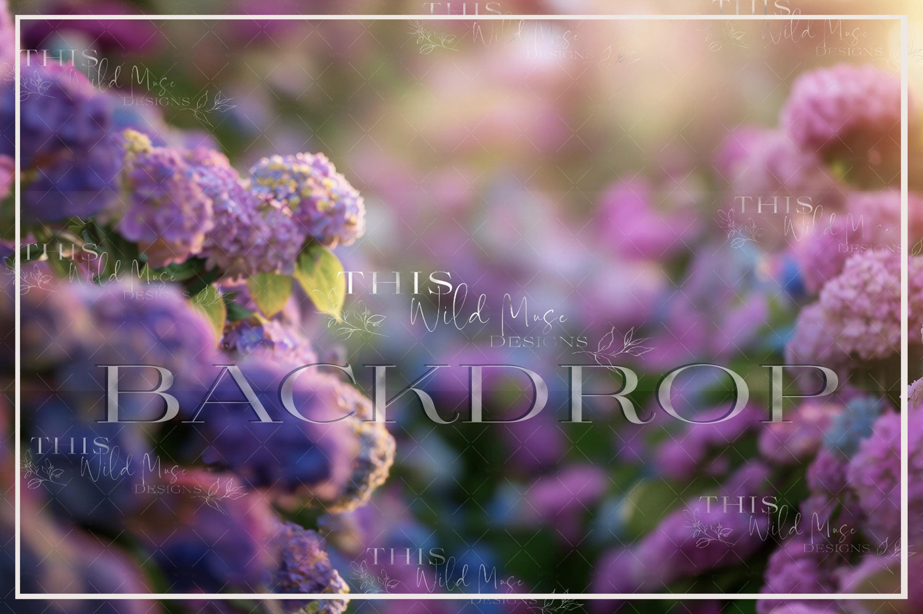 Buy Hydrangea Blooms Digital Background, Hydrangeas, Purple Flowers,  Flowering Bushes, Portrait Digital Background, Blooms, Flower Garden Online  in India - Etsy, image size:3000x1998