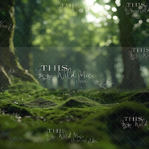 May include: A close-up of a mossy forest floor with sunlight filtering through the trees. The moss is a vibrant green and the light creates a soft, ethereal glow.