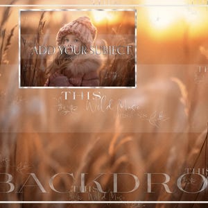 Winter digital background, golden winter, snow, winter bokeh, bokeh digital backdrop, snowy winter scene, winter digital,