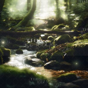 Magical forest digital backdrop, wisps, moss, forest, stream, whimsical forest digital backdrop, fantasy forest digital